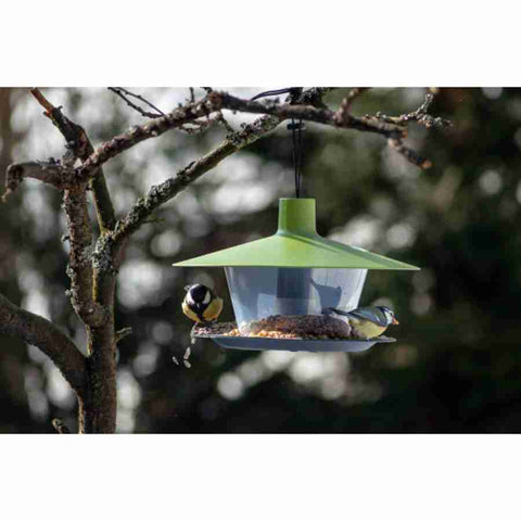 Comedero colgante para pájaros - Verde